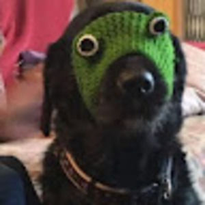 Meet your Posher, William